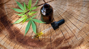 How to Take CBD: A CBD Oil & Flower Guide for Beginners