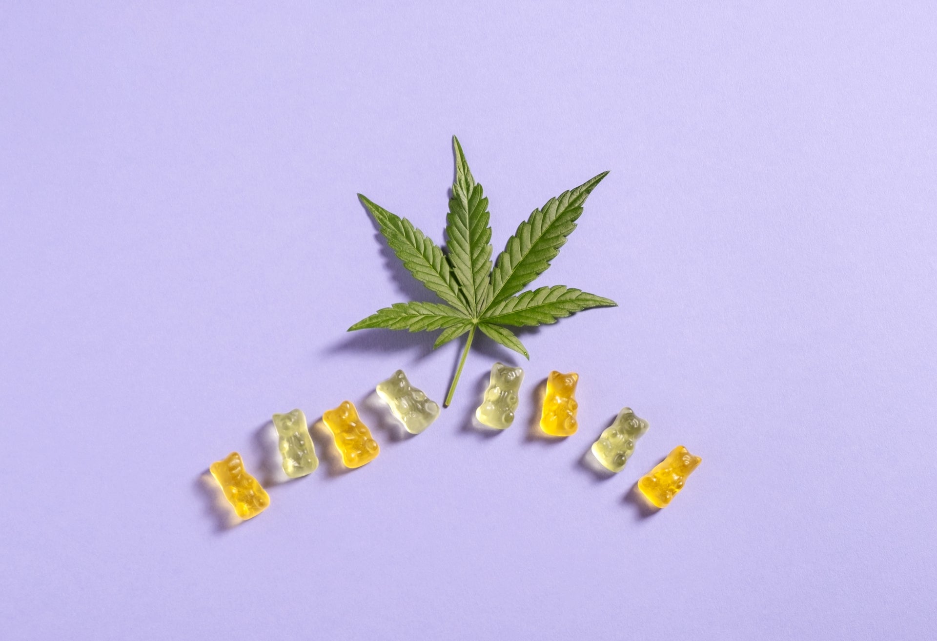 Are CBD Gummies Good for Stomach Pain?