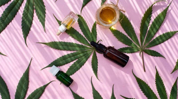 What Is CBD? Everything You Need to Know