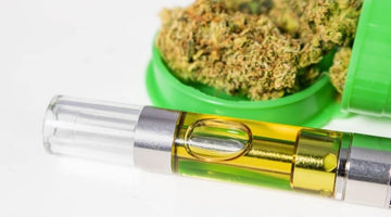 Vaping vs. Smoking CBD Flower: Which One is Better?