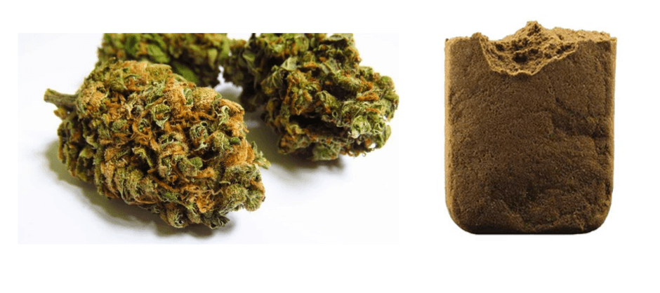 Hash vs Weed: Understanding key differences and Uses in CBD