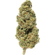 Load image into Gallery viewer, A raw, unprocessed CBD Flower bud of the Amnesia Haze strain

