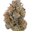 Load image into Gallery viewer, A single dried cannabis bud isolated on a solid white background, showing a mix of green, purple, and orange trichome colors.
