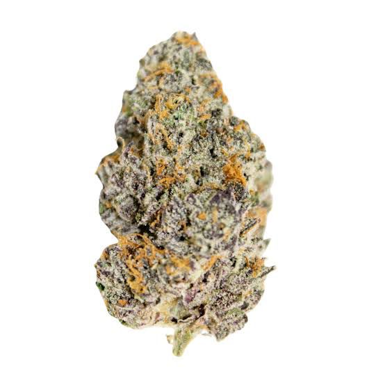 Biscotti Strain CBD Fleur