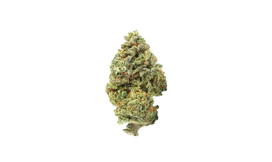 Front view of a Gelato CBD flower on a white background