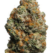 Charger l'image dans la galerie, Close-up of a cannabis bud with green and orange coloration on a white background

