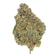 Load image into Gallery viewer, A single dried cannabis bud on a metal pin, showing a textured mix of green, beige, and orange tones against a solid white background.
