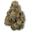 Charger l&#39;image dans la galerie, Biscotti Strain CBD Fleur
