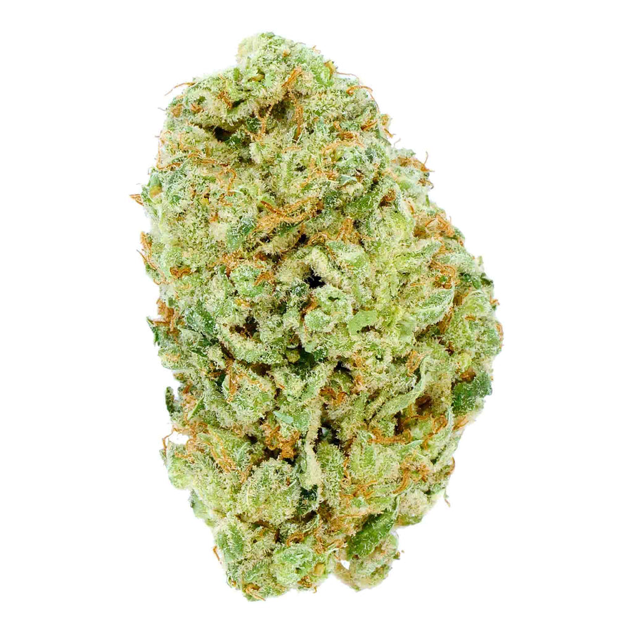 Flor de CBD de la variedad Biscotti