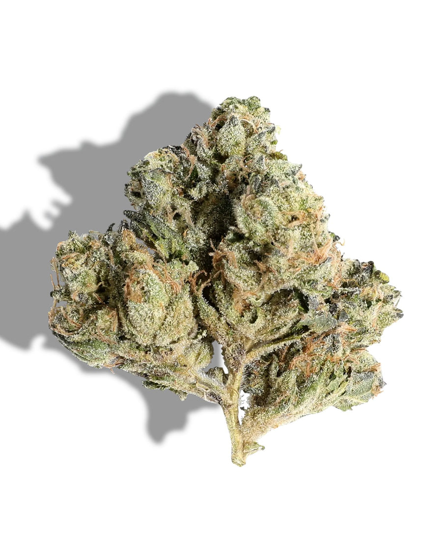 White Widow CBD Flower