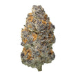Cargar imagen en el visor de la galería, A single dried cannabis bud or flower cluster centered on a plain white background, with mottled gray-purple hairs and orange-yellow pistils.
