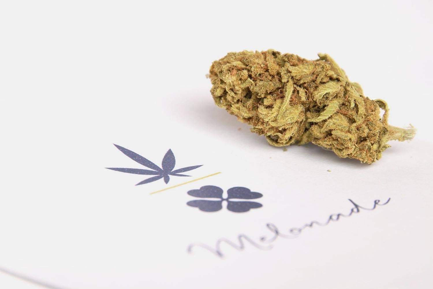 Melonade Strain UK 24 Hour Delivery Premium Quality